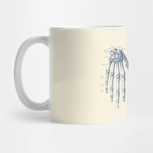 Double Hand Skeletal Diagram - Vintage Anatomy Print Mug